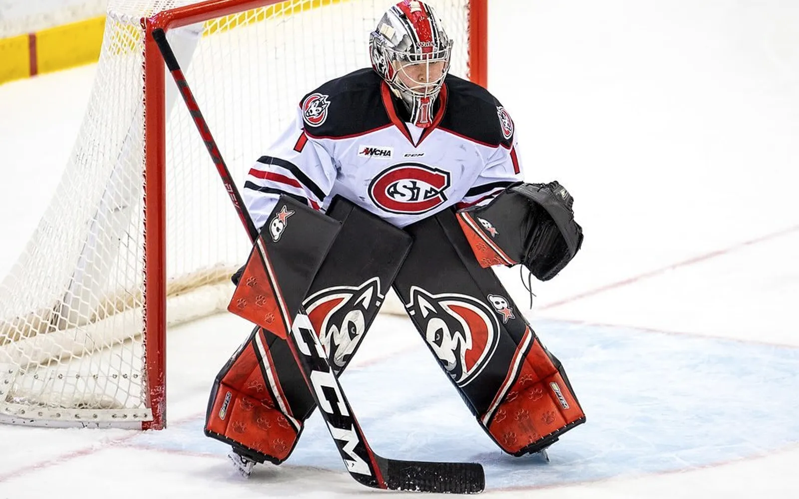 Sanni Ahola at St. Cloud State