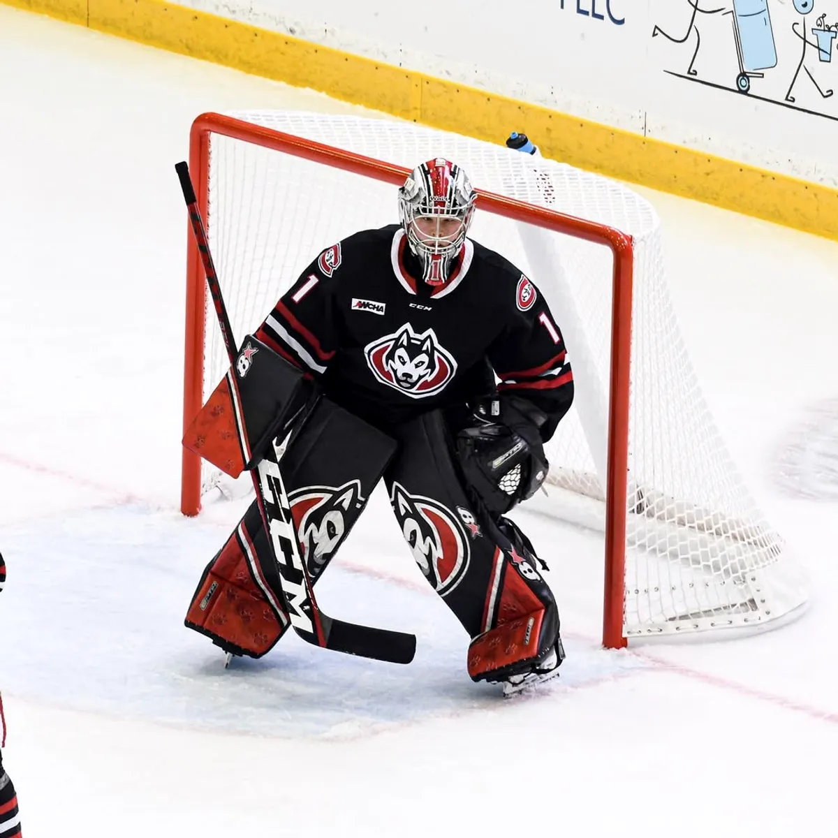 Sanni Ahola in goal for St. Cloud State